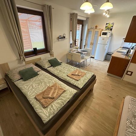 Apartman Losonci Nesvady- Pre 2 Osoby Studio エクステリア 写真