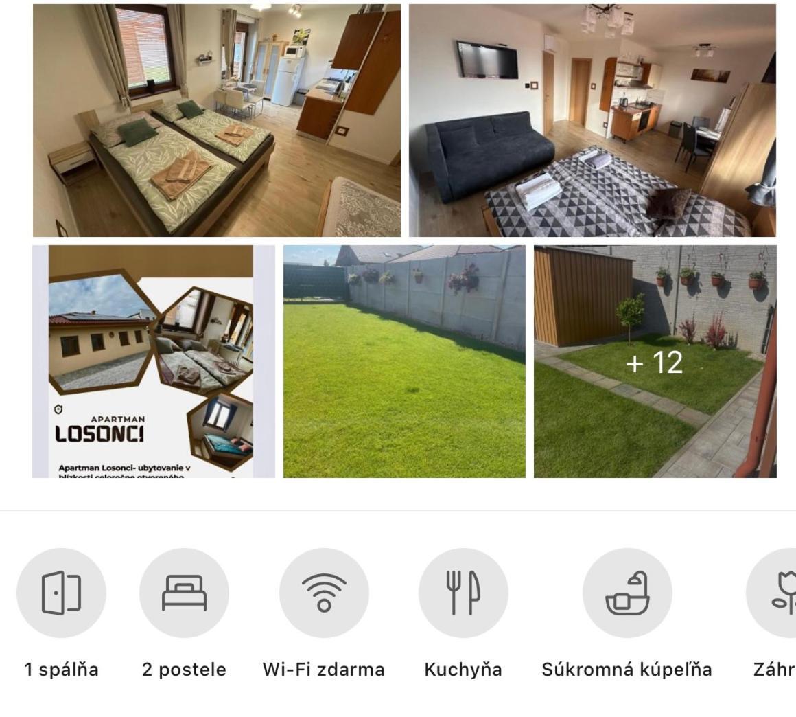 Apartman Losonci Nesvady- Pre 2 Osoby Studio エクステリア 写真